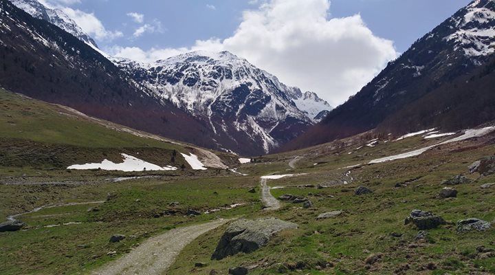 Voilà la prairie d'en Gaudu bie